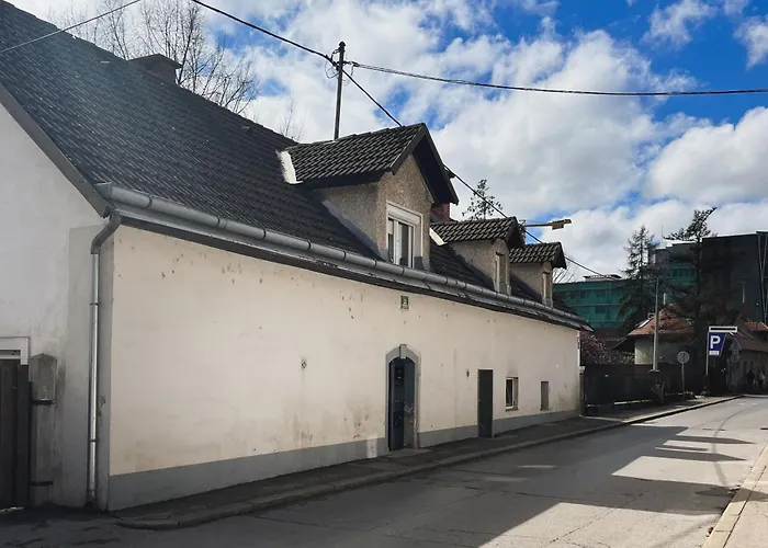 Urban Jungle 2 - Free Parking Apartamento *