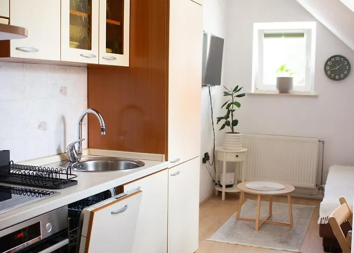 Urban Jungle 2 - Free Parking Lublana